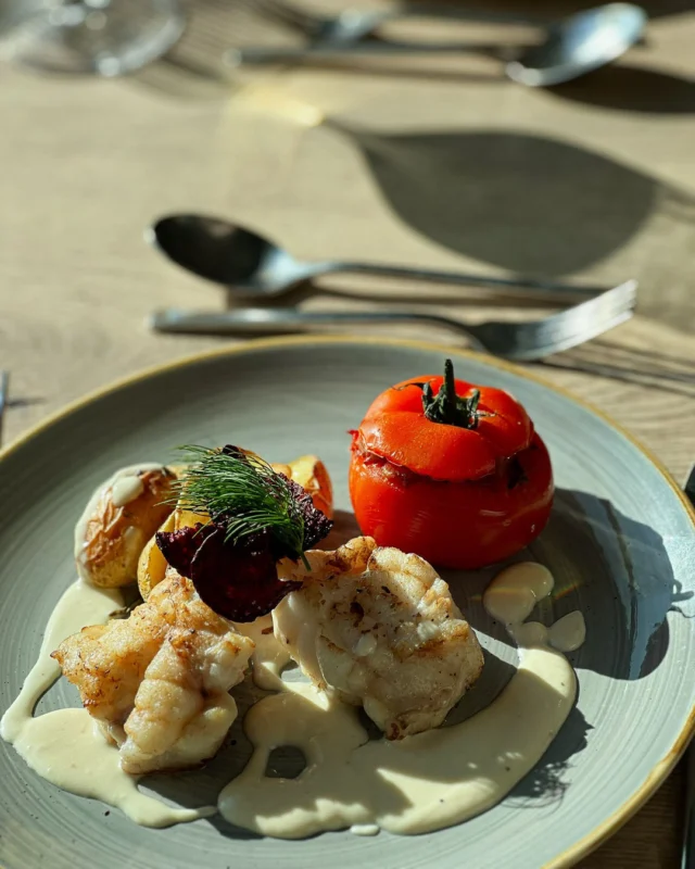Gebratenes Seeteufel-Medaillon 🐟
Mit Ratatouille in der Tomate, Rosmarinkartoffeln und Limonenvelouté – ein Gericht, das Lust auf mehr macht! 😋🍋

#eventcatering #catering #hamburg #seeteufel #dinnermenu #finedining